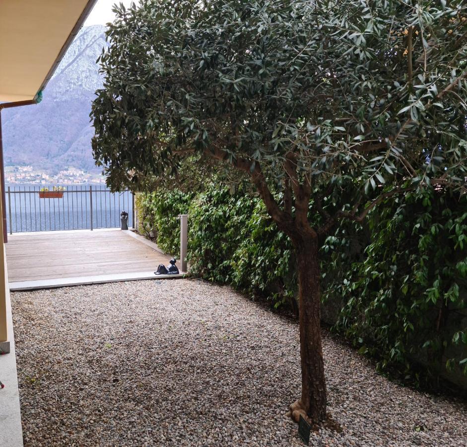 Colonno Panoramica Lago Di Como エクステリア 写真