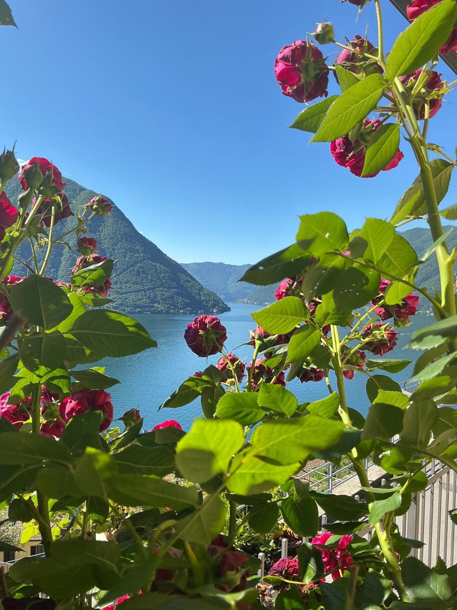Colonno Panoramica Lago Di Como エクステリア 写真
